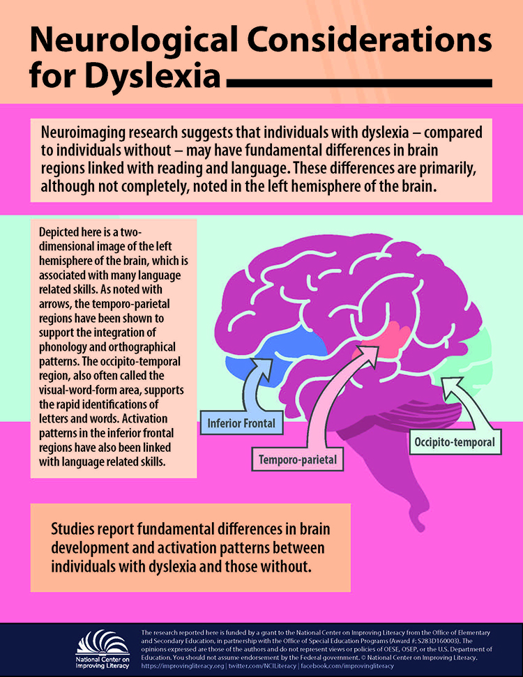 neurological_considerations_for_dyslexia.jpg