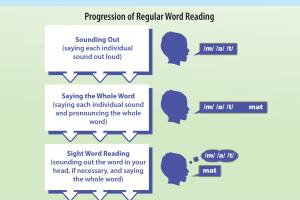 The Alphabetic Principle: From Phonological Awareness to Reading Words Inforgraphic