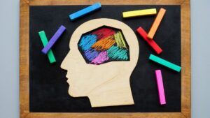 A brain drawn on a chalkboard with each region in a different color