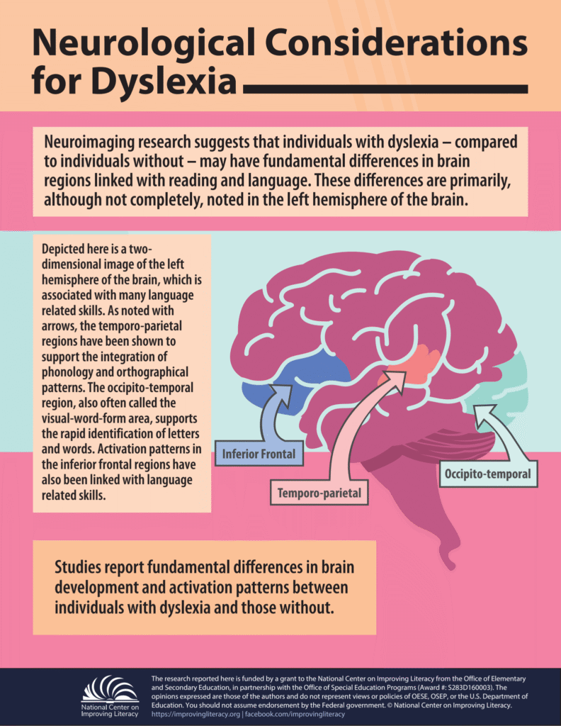 Neurological considerations for dyslexia infographic