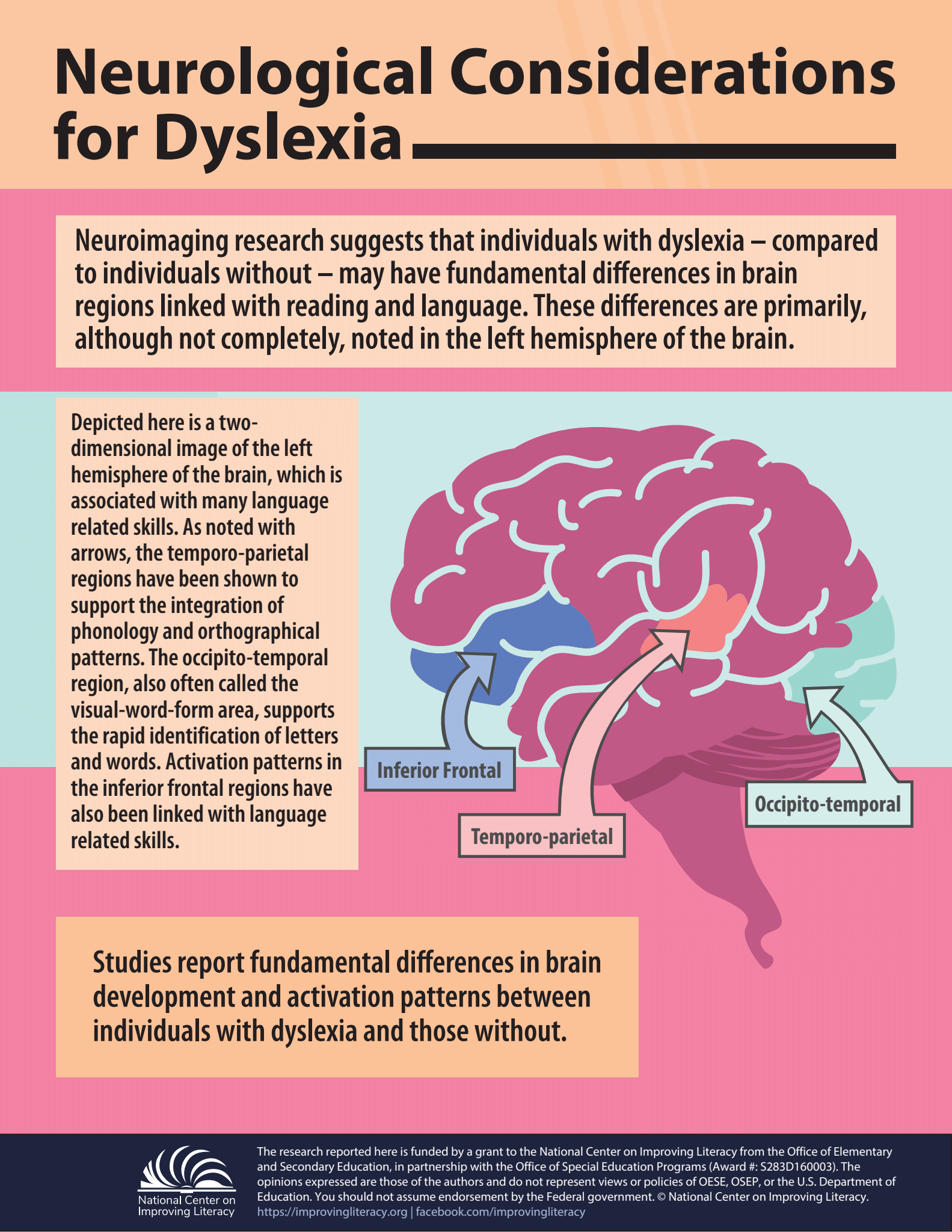 Understanding the Brain Basis of Dyslexia - NCIL